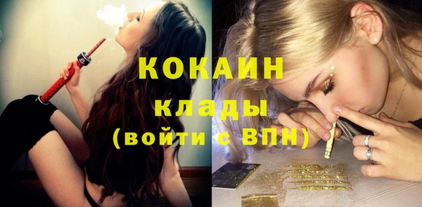 скорость Болотное