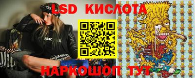 apvp Свободный