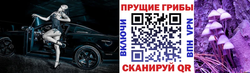 Псилоцибиновые грибы Cubensis  Партизанск 