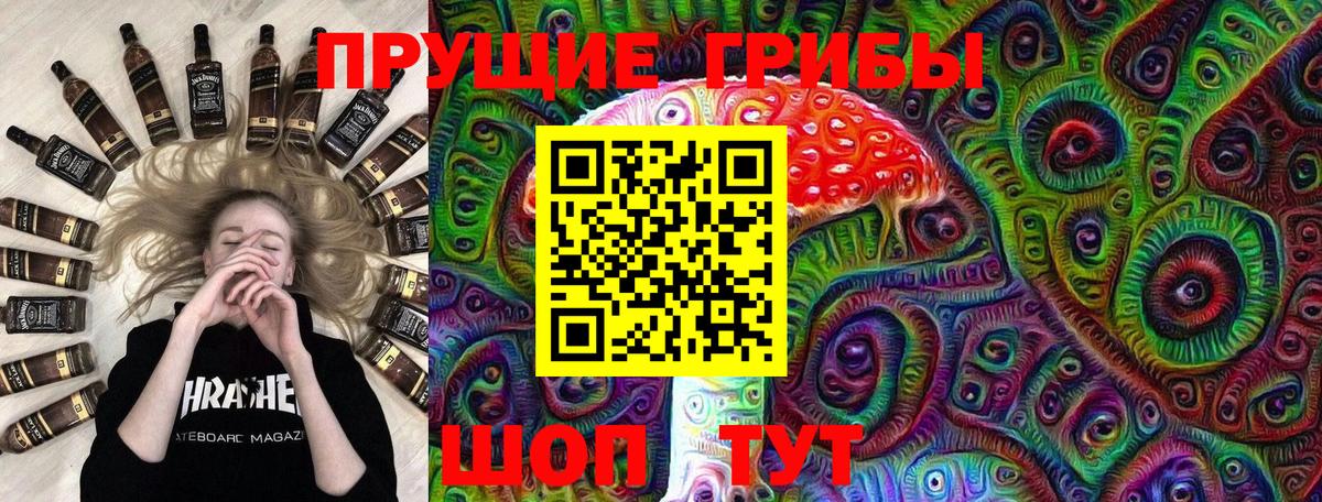 Псилоцибиновые грибы Psilocybe Партизанск